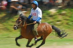 Giải đua ngựa Bắc Hà mở rộng năm 2010. (Ảnh: Kim Phương/TTXVN)