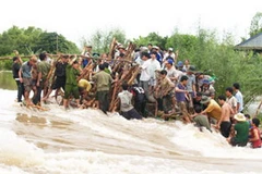 Các lực lượng và người dân ở An Giang nỗ lực chống lũ. (Nguồn: Báo An Giang)