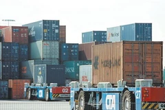 Ảnh minh họa. (Nguồn: Internet)