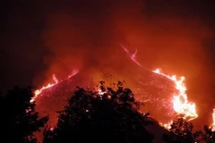 Ảnh minh họa. (Nguồn: Nguyễn Công Hải/TTXVN).