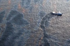 Dầu loang trên vịnh Mexico. (Nguồn: Getty Images)