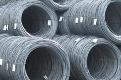 Ảnh minh họa. (Nguồn: Internet)