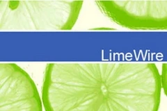 Ảnh minh họa. (Nguồn: Internet)