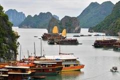 Vẻ đẹp của Vịnh Hạ Long (Ảnh: Trọng Đạt/TTXVN)