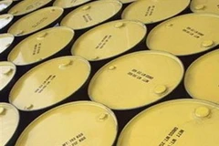 Ảnh minh họa. (Nguồn: Internet).