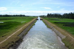 Ảnh minh họa. (Nguồn: Internet)