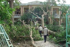 Ảnh minh họa. (Nguồn: Internet)