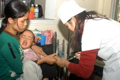 Ảnh chỉ có tính chất minh họa. (Nguồn: Hữu Oai/TTXVN) 