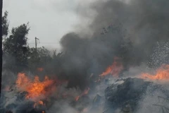 Ảnh minh họa. (Nguồn: Internet)