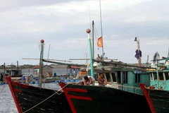 (Ảnh chỉ có tính minh họa: Trọng Đức/TTXVN)