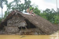 Ảnh minh họa. (Nguồn: Internet)