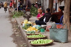 Chợ cóc. (Nguồn: Internet)