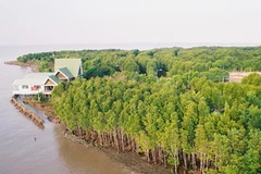 Ảnh minh họa. (Nguồn: Internet)