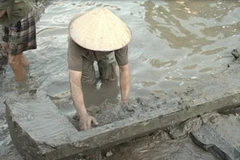 Chiếc quan tài bằng gỗ được tìm thấy trong ao nhà ông Tẩy. (Nguồn: Báo Hưng Yên)