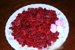 Hạt dưa. (Ảnh: Internet).