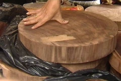 Tang vật một vụ vận chuyển gỗ trái phép. (Ảnh: Trần Đình Anh/Vietnam+)