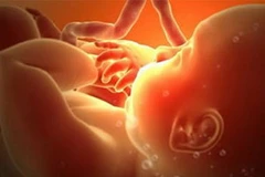 Ảnh chỉ có tính minh họa. (Nguồn: Internet).