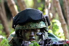 Binh sỹ Singapore trong một cuộc diễn tập. (Nguồn: Internet)