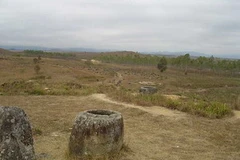 Cánh đồng Chum. (Ảnh: Internet).