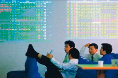 Ngày càng nhiều người làm nghề môi giới chứng khoán.