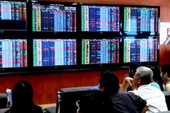 Ảnh minh họa. (Nguồn: Internet)