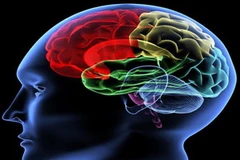 Ảnh minh họa. (Nguồn: Internet)