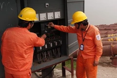 (Ảnh minh họa: Ngọc Hà/TTXVN)