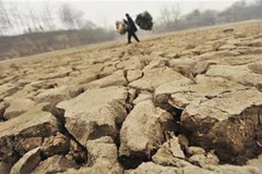 Ảnh minh họa. (Nguồn: Internet)