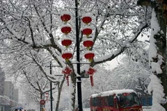 Bão tuyết ở Bắc Kinh năm 2008. (Nguồn: xinhuanet)