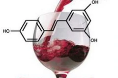 Chất resveratrol trong nho làm rượu vang giúp chống nhiễm trùng máu. (Ảnh: Internet).
