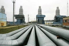 Ảnh minh họa. (Nguồn: Internet)