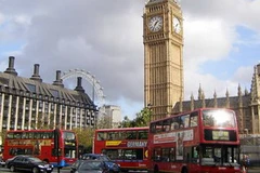 Ảnh minh họa. (Nguồn: Internet).