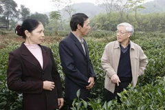 Chủ tịch Quốc hội Nguyễn Phú Trọng thăm một gia đình trồng chè ở xã Hùng Sơn, huyện Đại Từ. (Ảnh: Trí Dũng/TTXVN). 