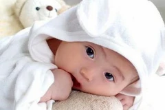 Ảnh minh họa. (Nguồn: Internet)