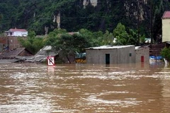 (Ảnh minh họa: TTXVN)