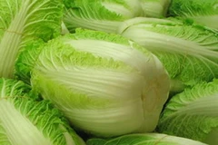 Ảnh minh họa. (Nguồn: Internet)