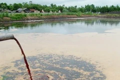 Chất thải chưa qua xử lý của Công ty Vedan đổ trộm ra sông Thị Vải. (Ảnh: Kim Quy/Vietnam+)