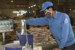 Ảnh chỉ mang tính minh họa. (Nguồn: Anh Tôn/TTXVN). 