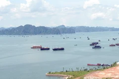 (Ảnh minh họa: Danh Lam/TTXVN)