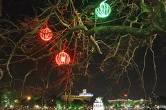 Lung linh Hồ Gươm đón Tết Canh Dần. (Ảnh: Thanh Tùng/TTXVN). 