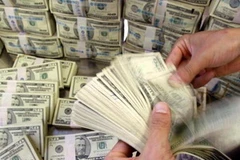 Ảnh minh họa. (Nguồn: Internet)