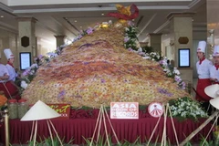 Kỷ lục châu Á mới - bánh Phượng Hoàng vũ lớn nhất. (Ảnh: Hạnh Long/Vietnam+)