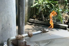 Hiện trường nơi xuất hiện luồng "khí lạ" khi khoan giếng gây cháy mãi không tắt. (Nguồn: Dân Trí)