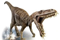 Loài khủng long. (Ảnh: Khoahoc.com.vn).