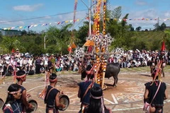 Lễ hội đâm trâu. (Ảnh minh họa. Nguồn: Báo Gia Lai)