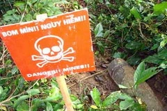 (Ảnh minh họa: Internet)