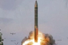 Ảnh minh họa. (Nguồn: Internet)