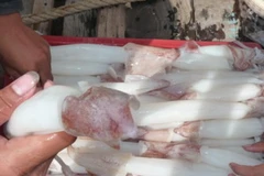 Ảnh minh họa. (Nguồn: Internet)