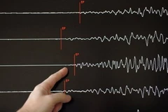 Một nhân viên kỹ thuật chỉ biểu đồ rung chấn của trận động đất. (Nguồn: France 24)