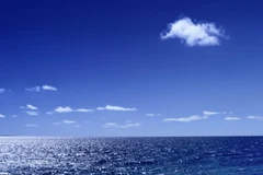 Ảnh minh họa. (Nguồn: Internet)